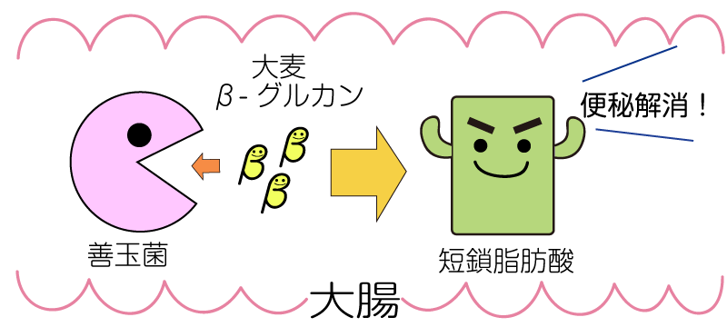 大麦β-グルカン３つのチカラ